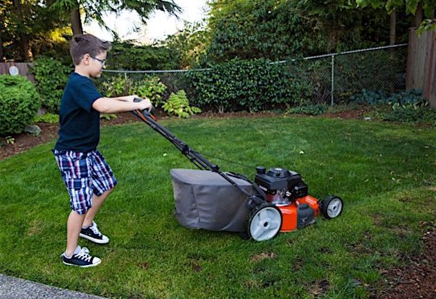 lawn care business insurance